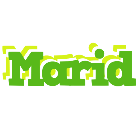 Marid picnic logo