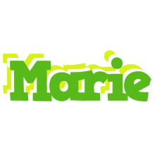 Marie picnic logo