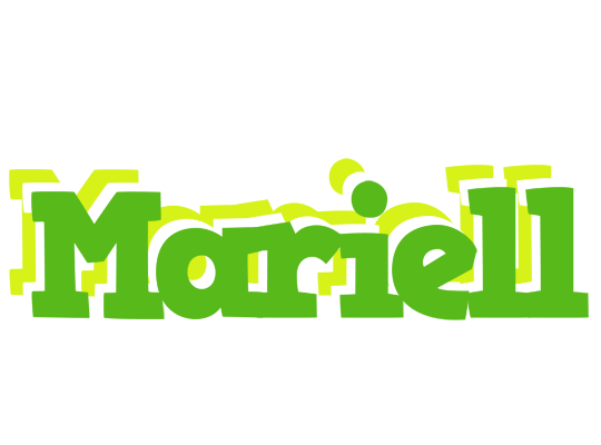 Mariell picnic logo