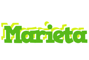Marieta picnic logo