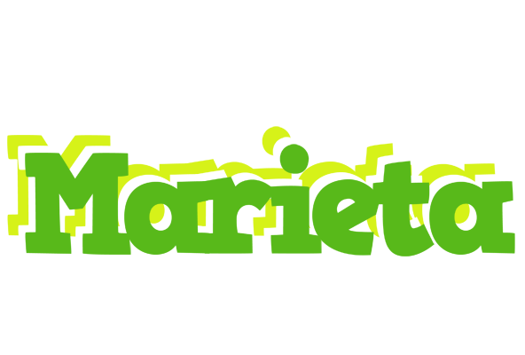 Marieta picnic logo