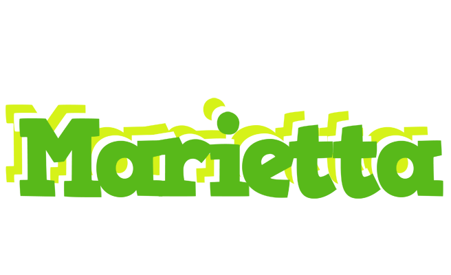 Marietta picnic logo
