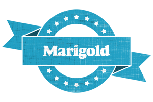 Marigold balance logo