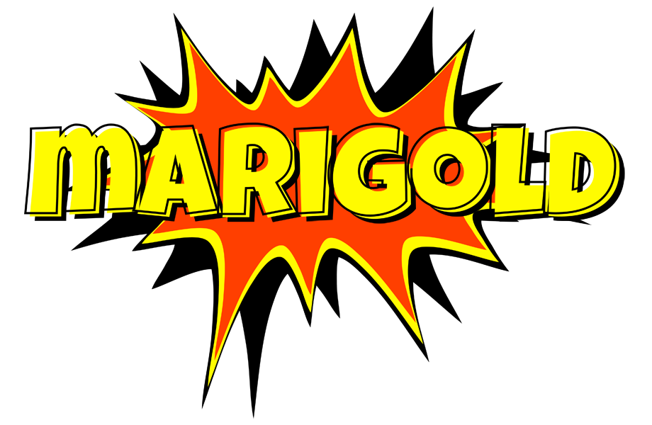 Marigold bazinga logo