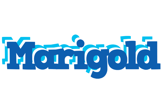 Marigold business logo