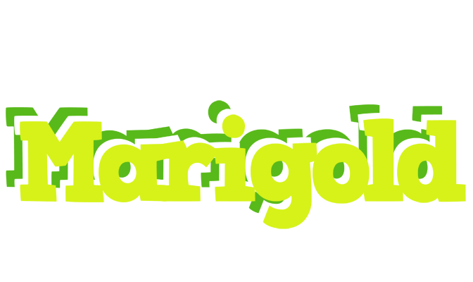 Marigold citrus logo