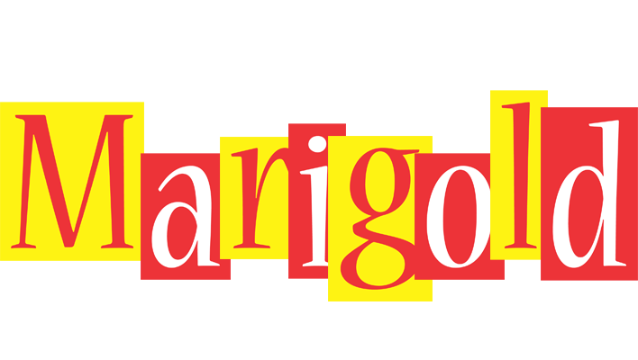Marigold errors logo