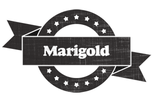 Marigold grunge logo