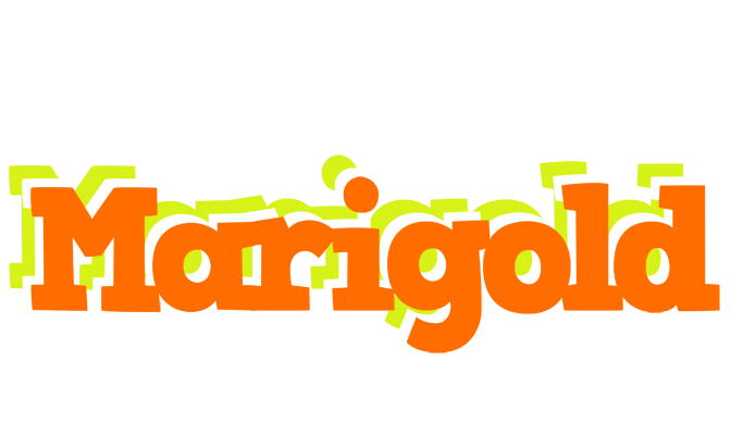Marigold healthy logo
