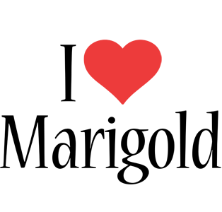 Marigold i-love logo
