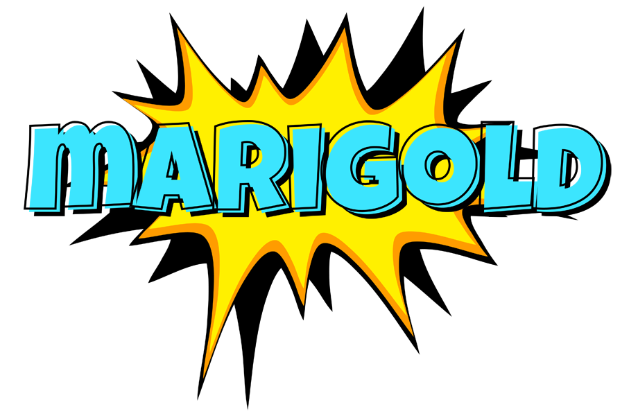 Marigold indycar logo