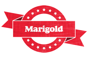 Marigold passion logo