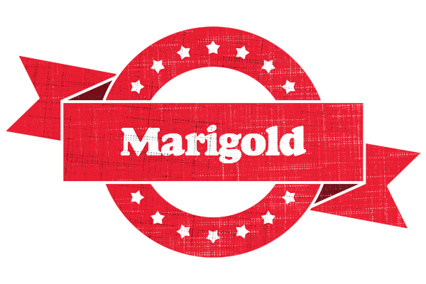 Marigold passion logo