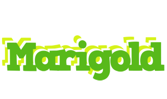 Marigold picnic logo