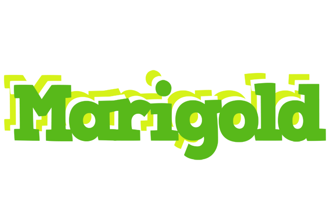 Marigold picnic logo