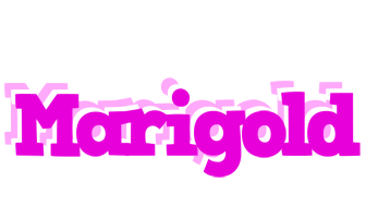 Marigold rumba logo