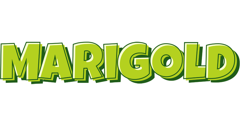 Marigold summer logo