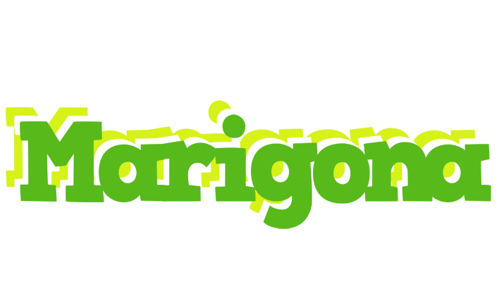 Marigona picnic logo