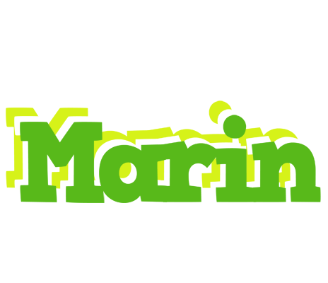 Marin picnic logo