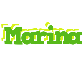 Marina picnic logo