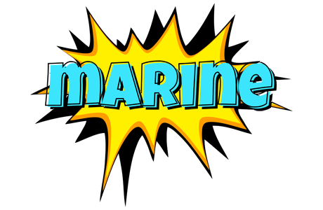 Marine indycar logo