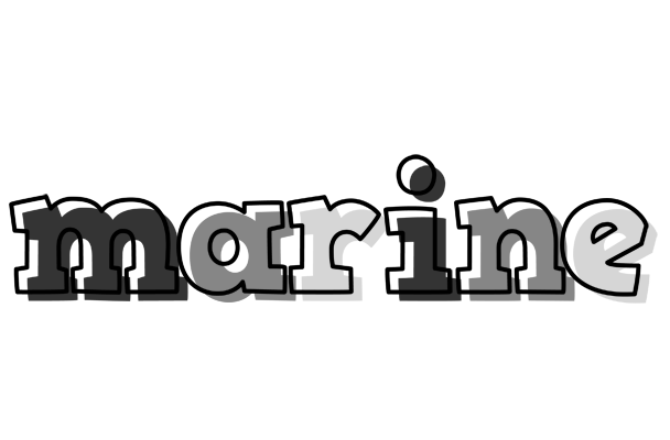 Marine night logo
