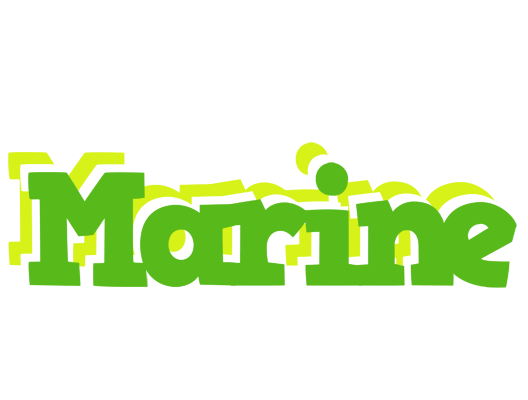 Marine picnic logo
