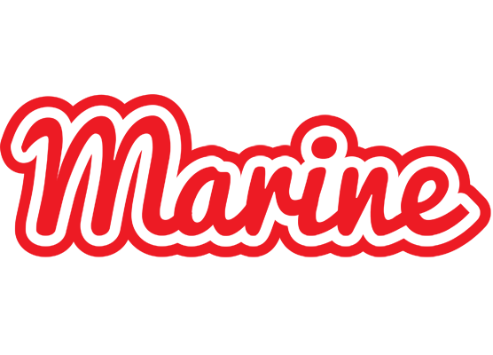 Marine sunshine logo