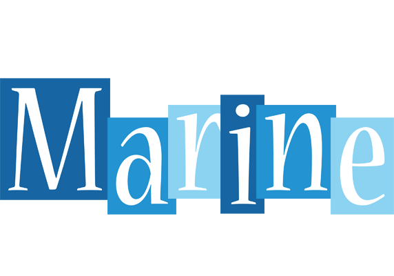 Marine winter logo