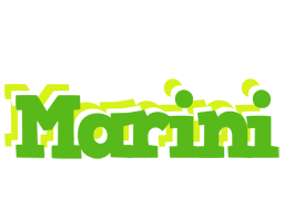 Marini picnic logo