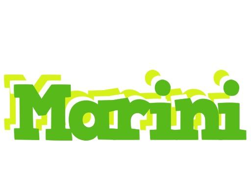 Marini picnic logo