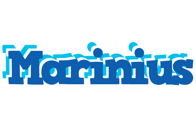 Marinius business logo