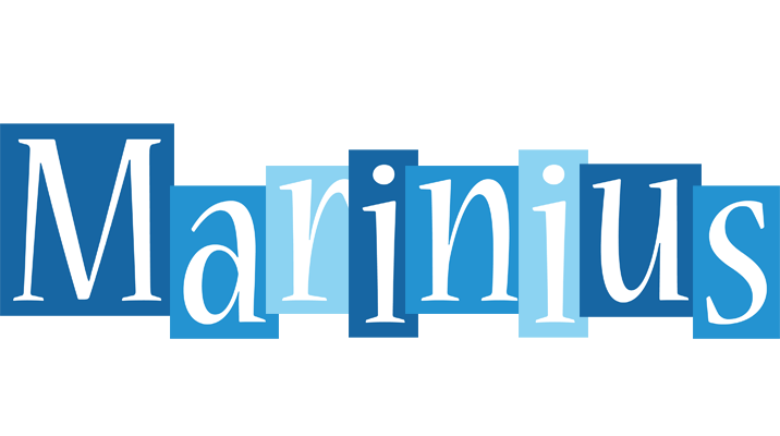 Marinius winter logo