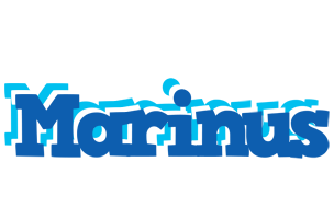 Marinus business logo