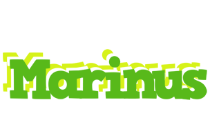 Marinus picnic logo