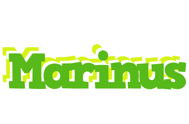 Marinus picnic logo