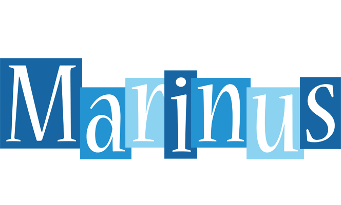 Marinus winter logo