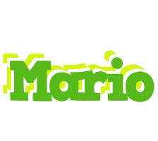 Mario picnic logo