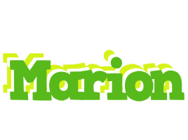 Marion picnic logo