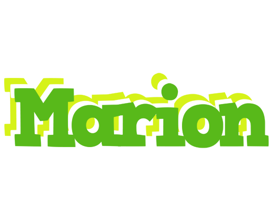 Marion picnic logo