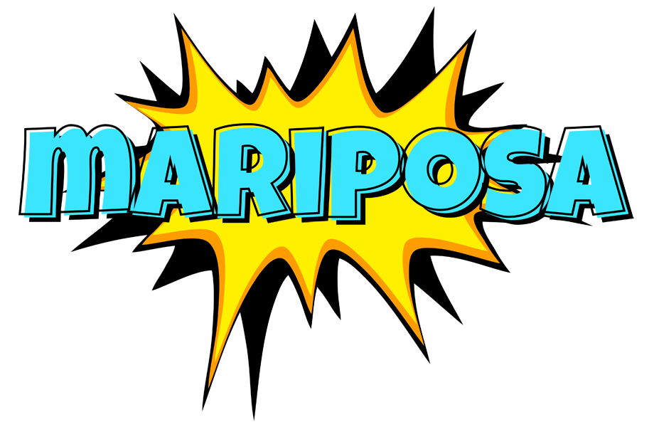 Mariposa indycar logo