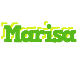 Marisa picnic logo