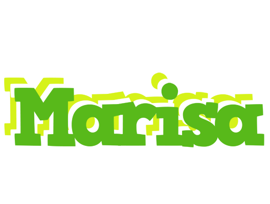 Marisa picnic logo