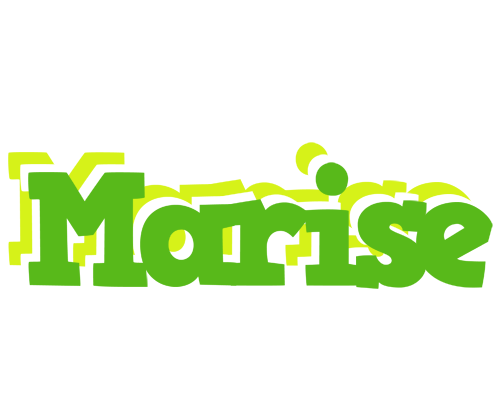 Marise picnic logo