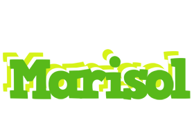 Marisol picnic logo