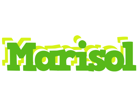 Marisol picnic logo