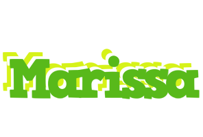 Marissa picnic logo