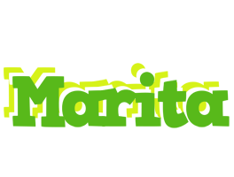 Marita picnic logo