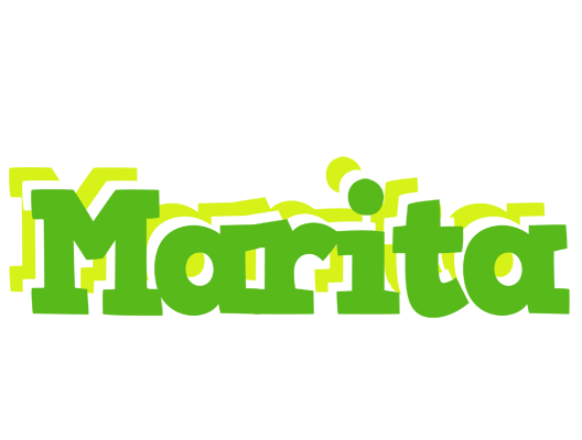 Marita picnic logo