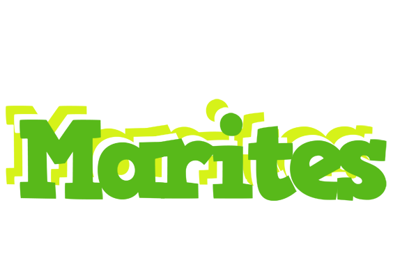 Marites picnic logo